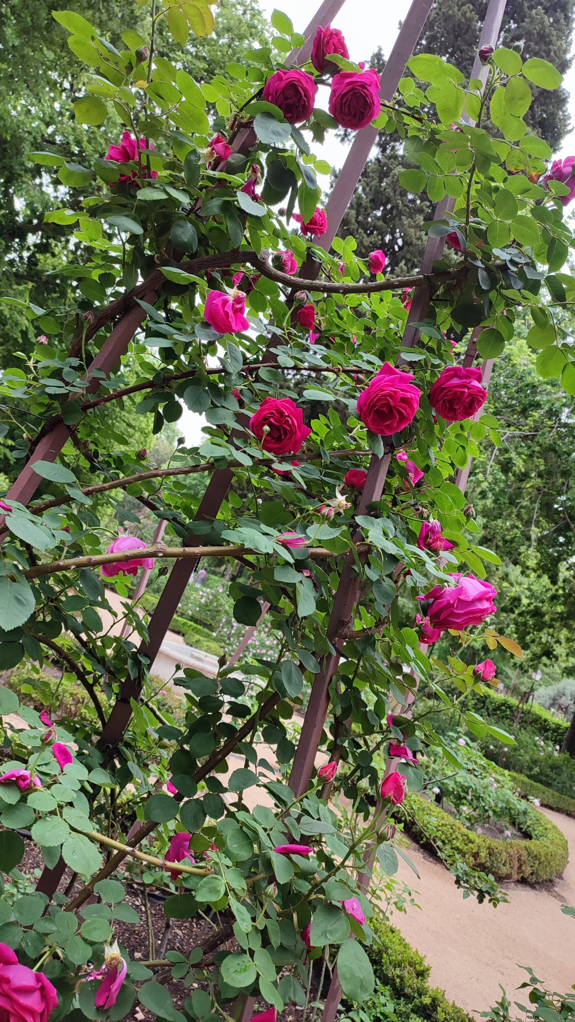 IMG-20230430-WA0153